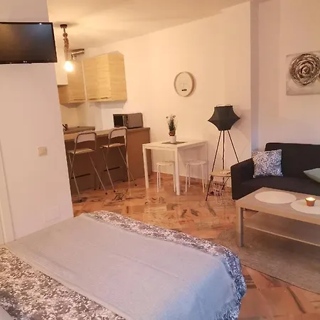 アパート Romana Playa マルベーリャ
